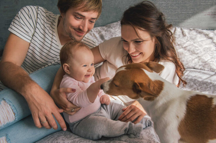 Εάν είστε ιδιοκτήτης σκύλου και έγκυος, μπορεί να αναρωτιέστε πώς να παρουσιάσετε τον σκύλο σας στο νέο σας μωρό. Συγκεντρώσαμε έναν οδηγό βήμα προς βήμα για τον μελλοντικό προγραμματισμό.