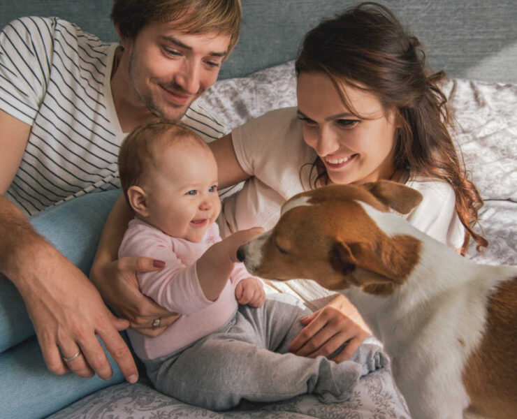 Εάν είστε ιδιοκτήτης σκύλου και έγκυος, μπορεί να αναρωτιέστε πώς να παρουσιάσετε τον σκύλο σας στο νέο σας μωρό. Συγκεντρώσαμε έναν οδηγό βήμα προς βήμα για τον μελλοντικό προγραμματισμό.