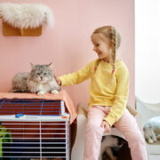 Γιορτάστε την Παγκόσμια Ημέρα Γάτας παίρνοντας μια γάτα στο παιδί σας