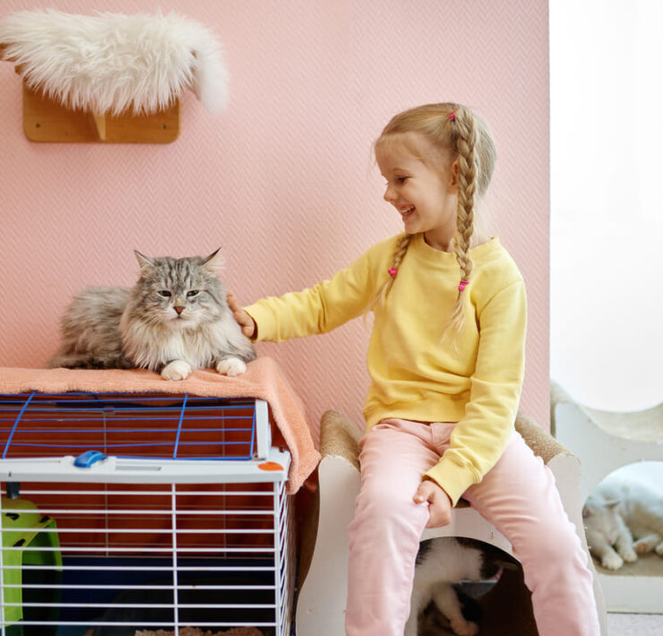 Γιορτάστε την Παγκόσμια Ημέρα Γάτας παίρνοντας μια γάτα στο παιδί σας